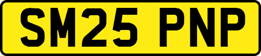 SM25PNP