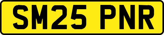 SM25PNR
