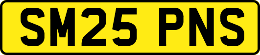 SM25PNS