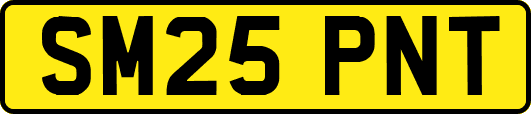 SM25PNT