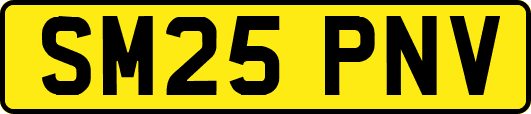 SM25PNV