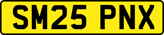 SM25PNX