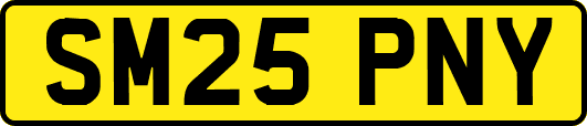 SM25PNY
