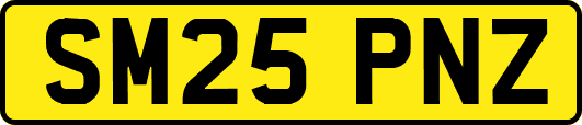 SM25PNZ