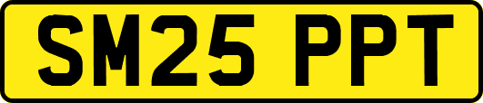 SM25PPT