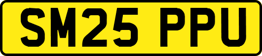 SM25PPU