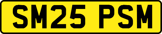 SM25PSM