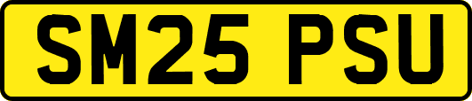 SM25PSU
