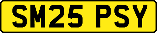 SM25PSY
