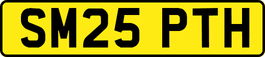 SM25PTH