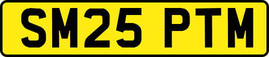 SM25PTM