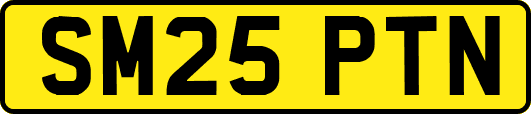 SM25PTN
