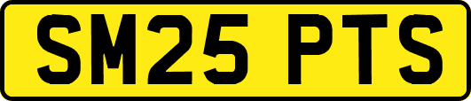 SM25PTS