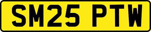 SM25PTW