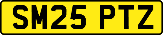 SM25PTZ