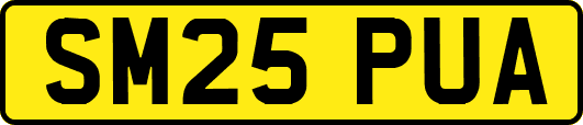 SM25PUA
