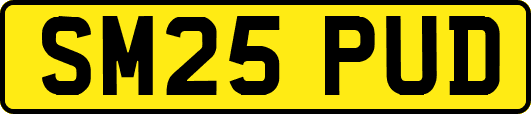 SM25PUD
