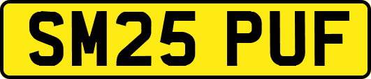 SM25PUF
