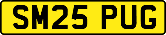 SM25PUG