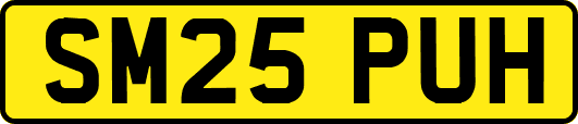 SM25PUH