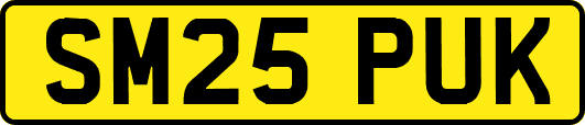 SM25PUK