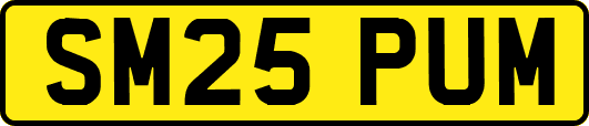 SM25PUM