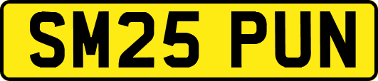 SM25PUN