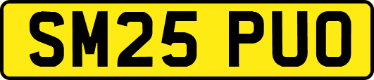 SM25PUO