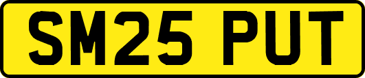 SM25PUT