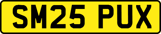 SM25PUX