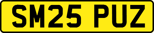 SM25PUZ