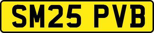 SM25PVB