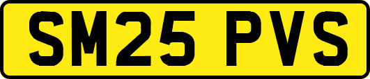 SM25PVS