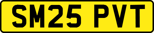 SM25PVT