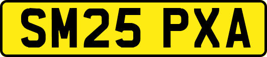 SM25PXA