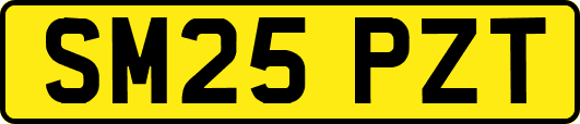 SM25PZT