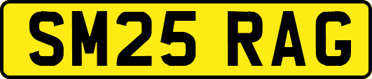 SM25RAG