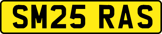 SM25RAS