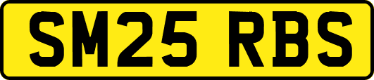 SM25RBS