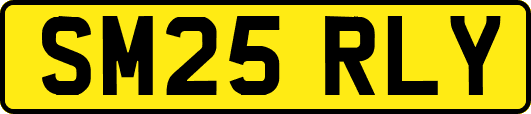 SM25RLY