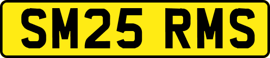 SM25RMS