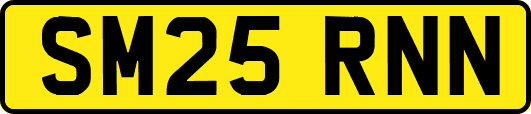 SM25RNN