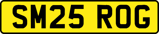 SM25ROG
