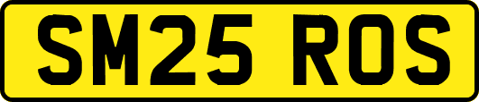 SM25ROS