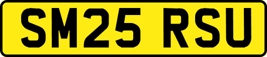 SM25RSU