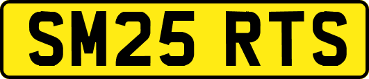SM25RTS