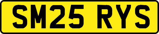 SM25RYS