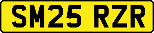 SM25RZR