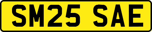 SM25SAE
