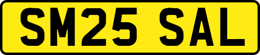 SM25SAL